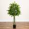 4.5ft. UV Resistant Artificial Ficus Tree (Indoor/Outdoor)